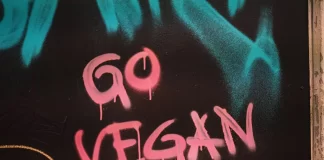 Parhaat kasvipohjaiset kananugetit, joita sinun pitäisi kokeilla