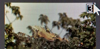 Mikä ero on JPG- ja JPEG-tiedostojen välillä, selitetään