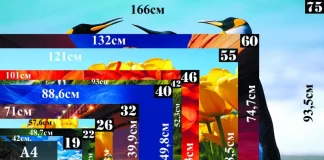 TV:n ja näytön koko, korkeus ja leveys näytön läpimitan mukaan.