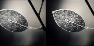 Mikä on television terävyysasetus