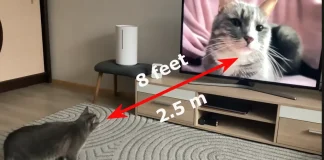 65 tuuman television katseluetäisyys